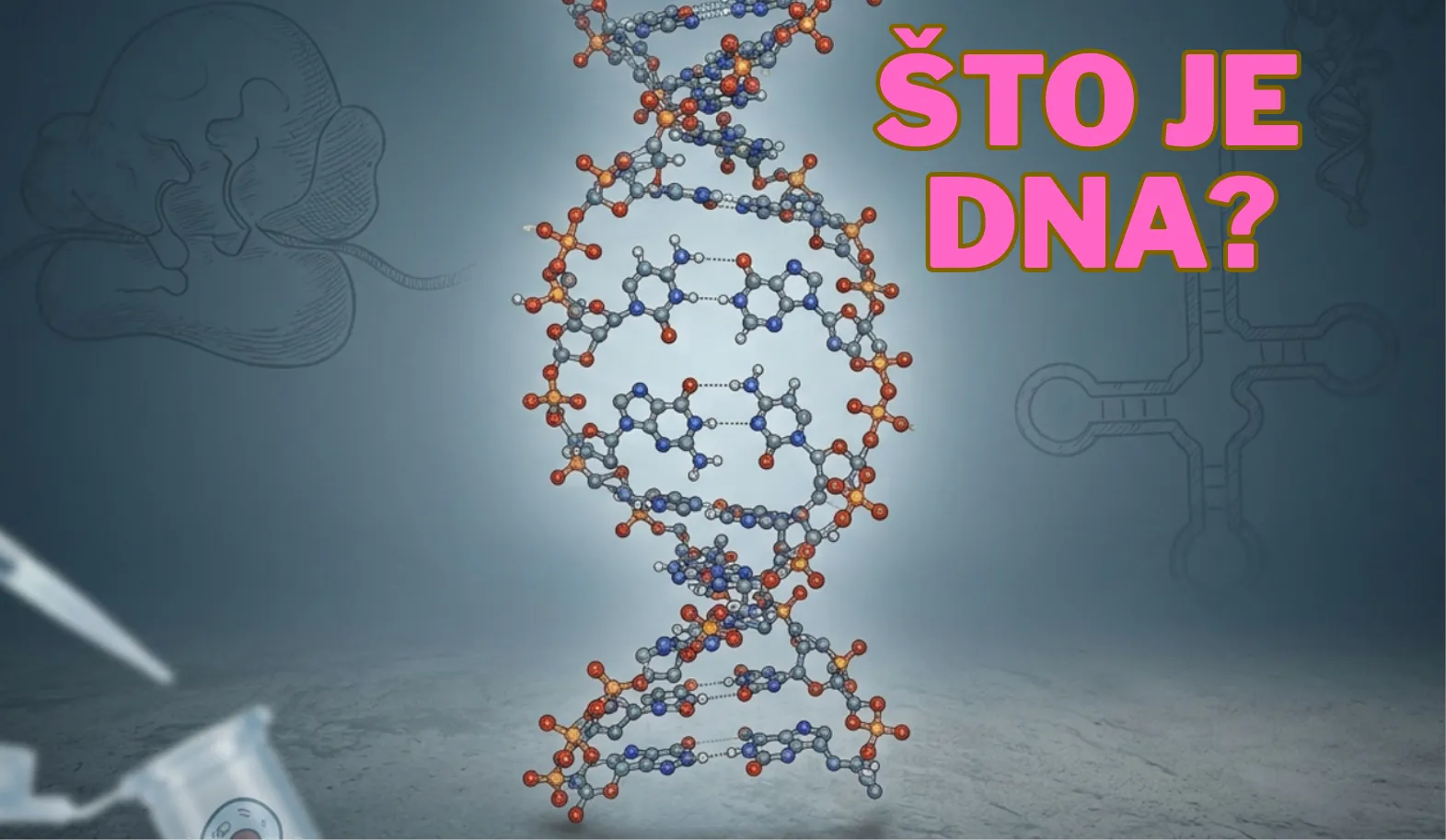 Što je DNA
